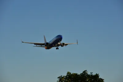 DSC_5676 (Large).JPG